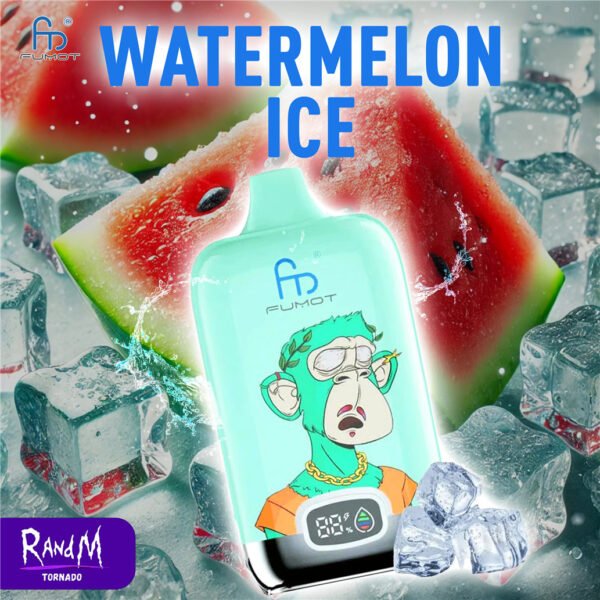 Watermelon Ice RandM 12000 DIGITAL BOX