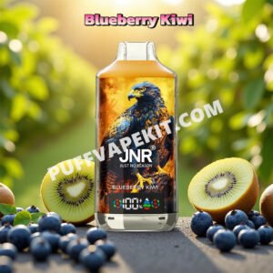 blueberry kiwi 18k puff jnr falcon x 18000 pvbjf18000n2
