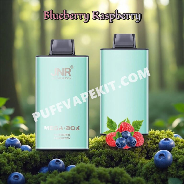 blueberry raspberry 25k jnr mega box 25000 puff pvbfrjmb25000