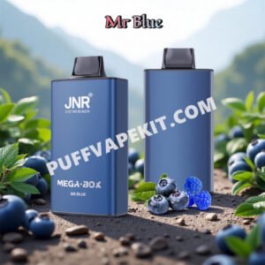 mr blue 25k jnr mega box 25000 puff pvbfrjmb25000