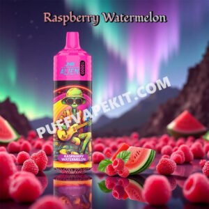 raspberry watermelon 10k jnr alien 10000 puff pvbfrja10000