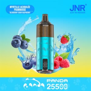 jnr panda 25500 puffs blueberry sour raspberry pvbjp25500