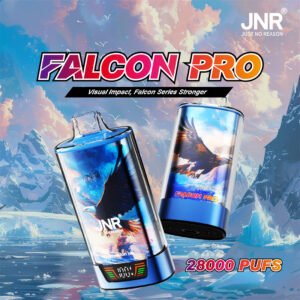 jnr falcon pro 28000 puffs pvbfrjfp28000