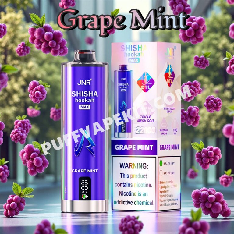 grape mint jnr shisha max 22000 pvbfrjsm22000